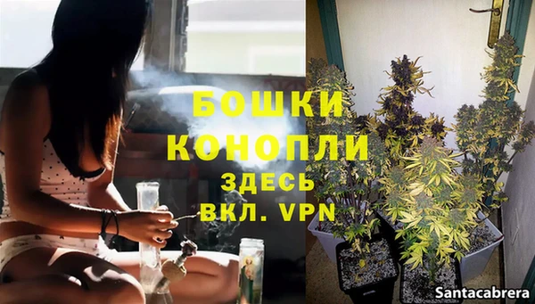 СК Козельск