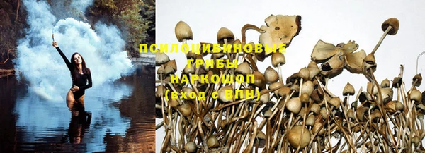 шишки Кинешма