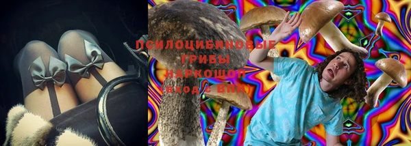 мяу мяу мука Коряжма