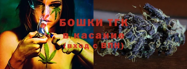 СК Козельск